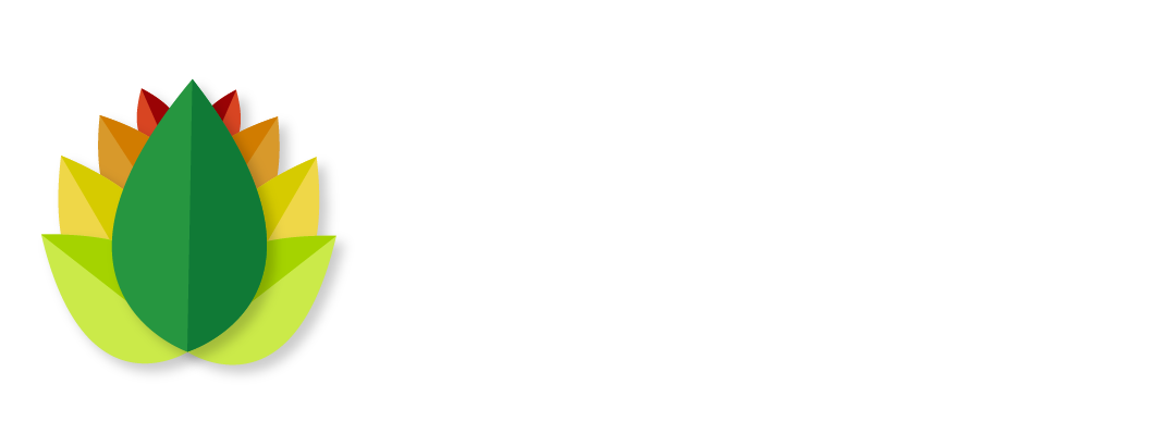 SAI AYURVEDIC INSTITUTE